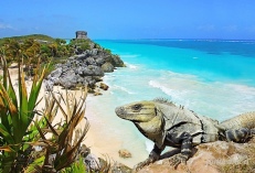 Meksyk Z Półwyspem Jukatan Dla Koneserów - Zwiedzanie + Wypoczynek