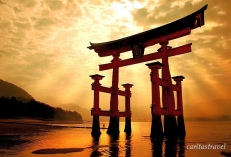 Japonia - 3 Wyspy - Jedyny Program W Kraju, Wycieczka Do Japonii W Czasie Czerwienienia Klonów